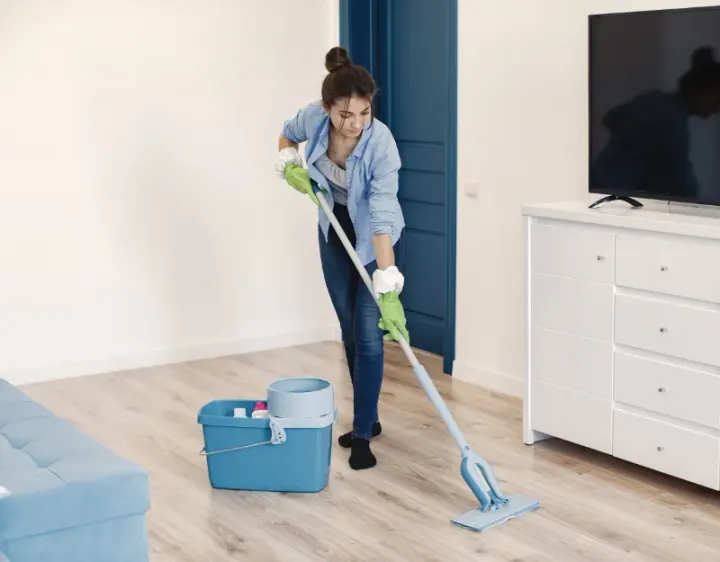 Femme de ménage Moulinet